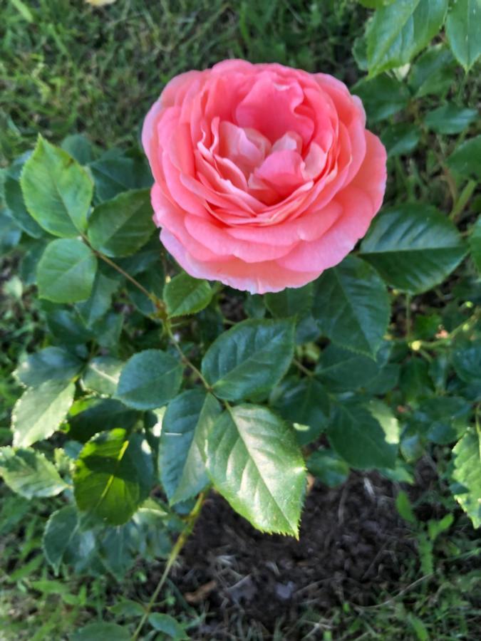 Susannes B&B Frebbenby 외부 사진